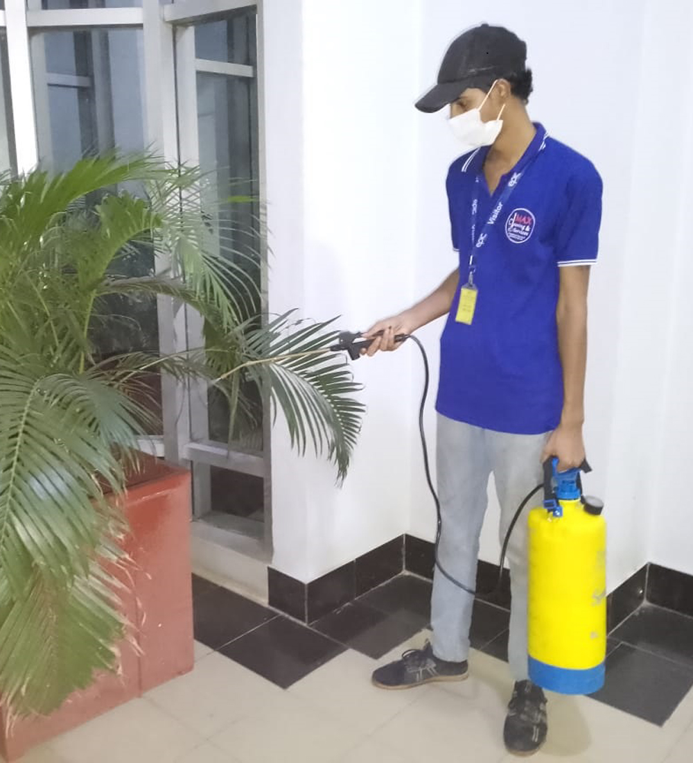 Pest Control Pest Control